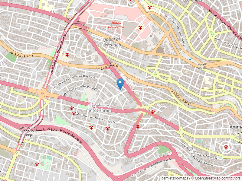 Screenshot of map with location of DAAD-office marked
